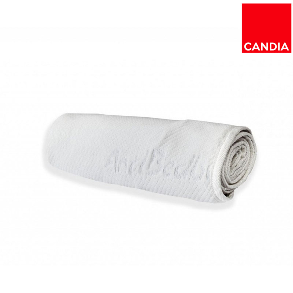 ANTI BED BUG MATTRESS COVER 91-100