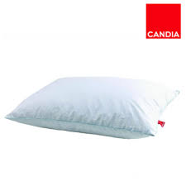 BASIC MEDIUM PILLOW 50*70